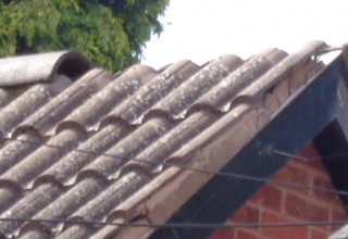 Broken or slipped ridge tiles ?